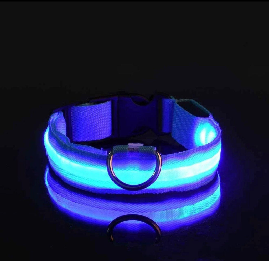 Led Dog Collar