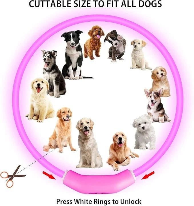 LED Dog Collar Rechargeable Adjustable Size